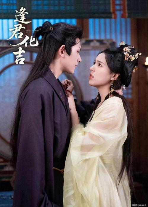 重燃之深情未晚,一段跨越时光的浪漫传奇