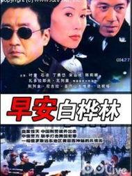 早安白桦林,探寻自然与心灵的和谐共鸣